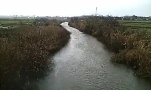 柿崎川 2006年12月17日撮影