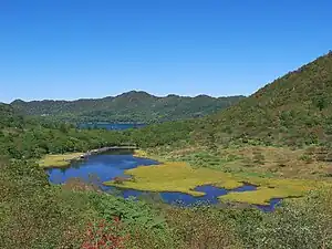 覚満淵