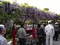 （2009年4月29日撮影）