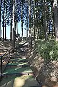整備された登山道