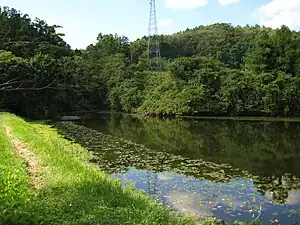 上組溜池