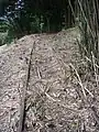 スイッチバック線路