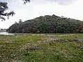 西側側方から見た後円部