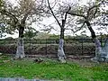 緑ヶ丘公園。柵の奥側は宮内庁管理地の内提。削平されたためか、公園部分が低くなっている。