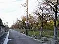 緑ヶ丘公園の前面道路。右は公園。（前方部側から後円部方向）
