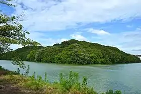 履中天皇陵全景
