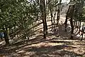 後方部から前方部を望む