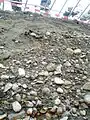 トレンチ北面の上部。表土層と姫川?由来の河川礫堆積物。赤茶色の層が該当する。