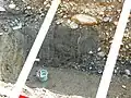 トレンチ南面