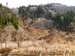 長野県神城断層地震により生じた地すべり(長野県)