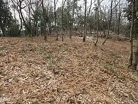 鴨城 主郭
