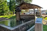 亀の噴水