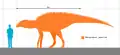 人とのスケール比較