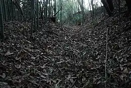 金堀城空堀