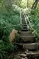 金時山の山頂近くではこのような登山道となる