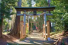 金井八幡神社(金井ヶ丘2丁目)