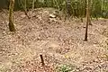 西造出