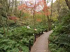 しだの谷
