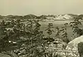 現在は埋め立てられ海浜公園になっている旧海岸（1971年）