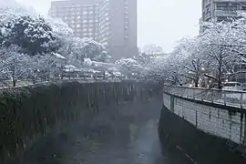 駒塚橋から見た神田川。川の右側が関口一丁目、左側が関口二丁目。奥の茶色い建物は椿山荘。