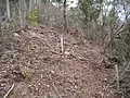 間道と本道の分岐点