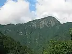 冠山林道から望む冠山