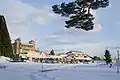 全景