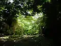平井丸虎口