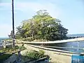 観音島