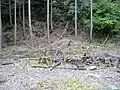 南西曲輪の下部分