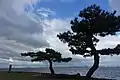 唐崎夜雨の石碑と