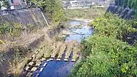 唐沢川（中水野町・本郷町境）