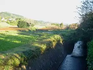 唐沢川 2006年11月12日撮影