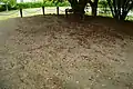 墳頂