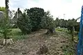 金堂跡