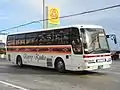 貸切バスタイプ車両が運用される場合がある。