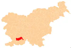 Pivka