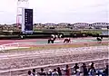 笠松競馬場