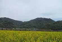 春の干拓地から望む神島