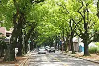 香椎参道