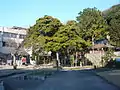 御薗の榎