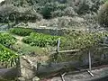 崎浦の五島石集落（頭ヶ島・白浜地区）