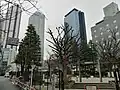 柏木公園