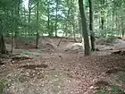 カストラ・ツークマンテル跡
