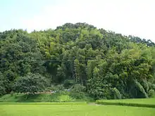 片岡城があった城山、丘陵