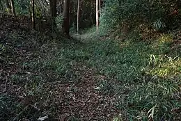 勝沼城空堀