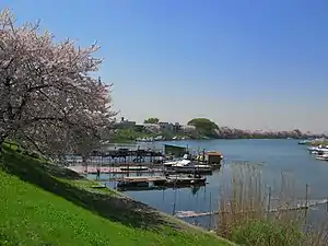 大場川