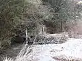 取水口