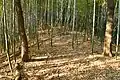 前方部から後円部を望む