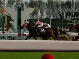 第11回優勝馬カワカミプリンセス(鞍上、本田優)